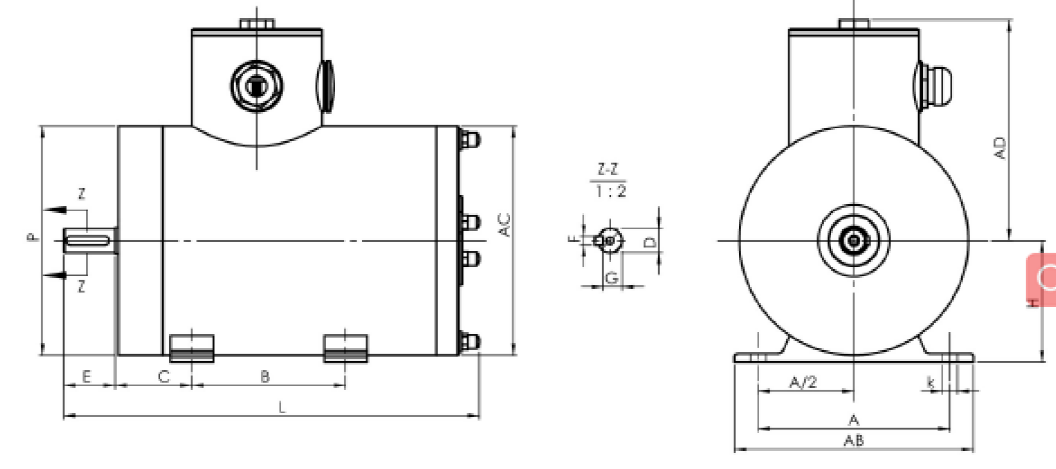 Stainless Steel NEMA Motor