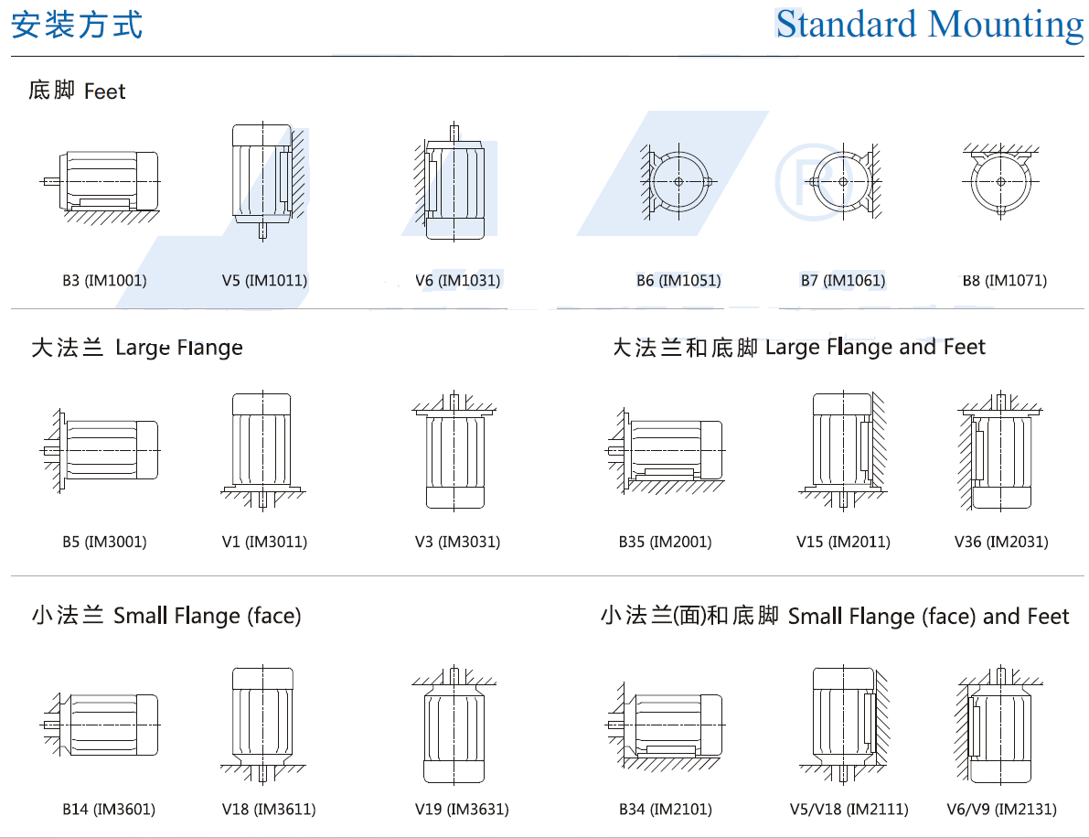 BLDC gear motor