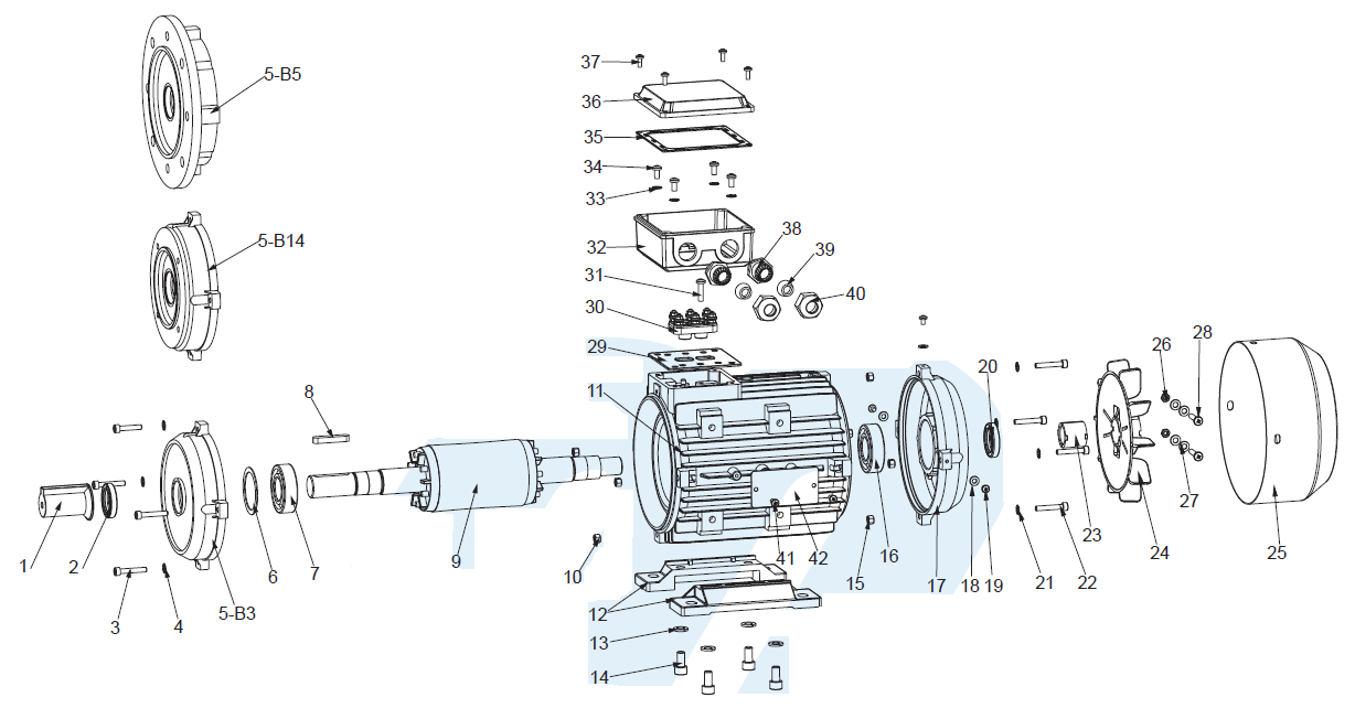 BLDC gear motor