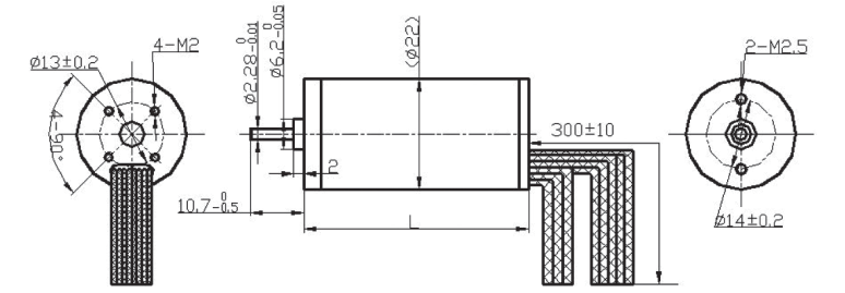 Gear Motor 22 Series
