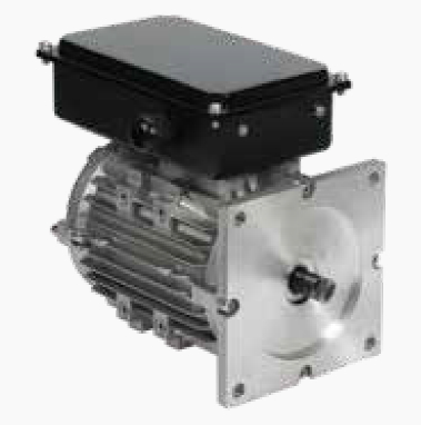 Single-Phase Dock Leveller Motor 113/117 Series