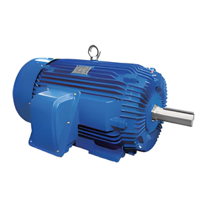 Standard NEMA Motor