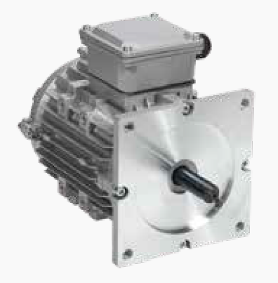 Three Phase Dock Leveller Motor 132 Series