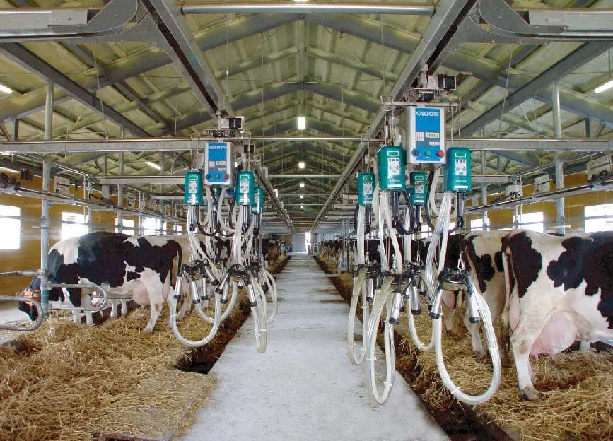 3aab6e74-2ae6-4f3d-965b-1145dc0c48ec