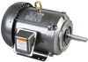 TEFC NEMA Three-Phase JM / JP Close-Coupled Pump Motor