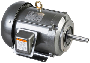 TEFC NEMA Three-Phase JM / JP Close-Coupled Pump Motor