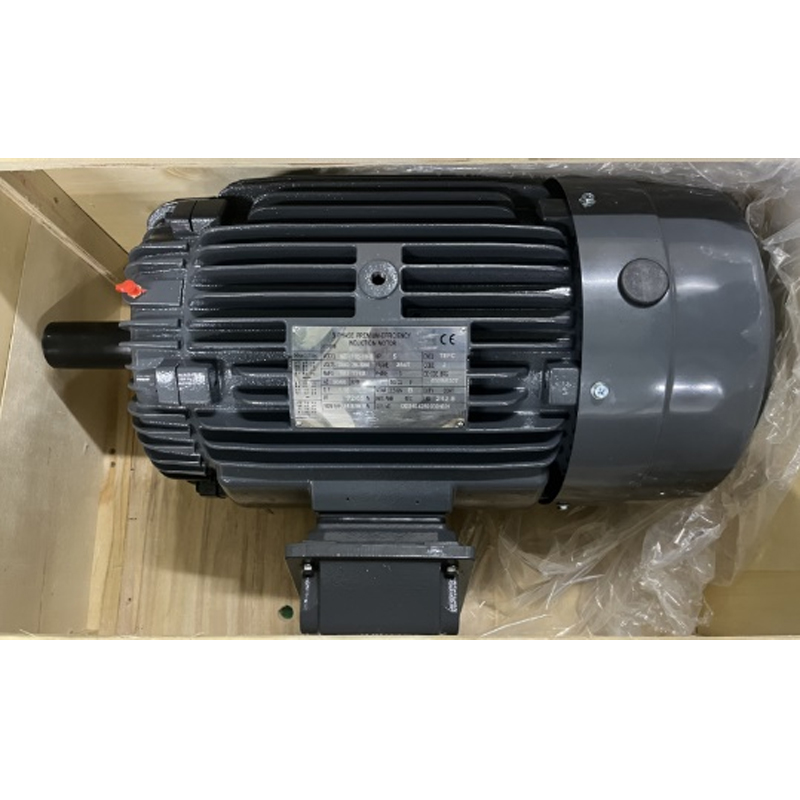 Standard NEMA Motor